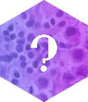 A picture of a hexagon with a white question mark inside.