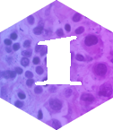 A picture of a hexagon with a white numeral 1 inside.
