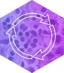 A picture of a hexagon with a white triple-arrow design inside.